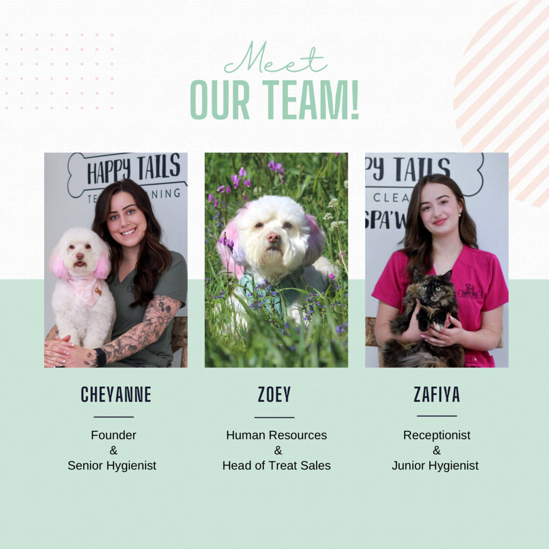 Meet Our Team